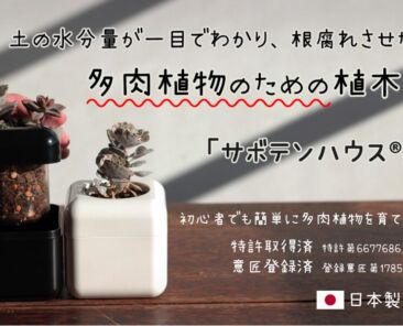 最新情報_1_2025.05.15