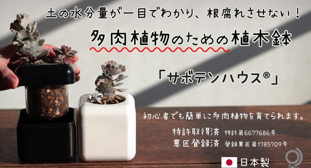 最新情報_1_2025.05.15