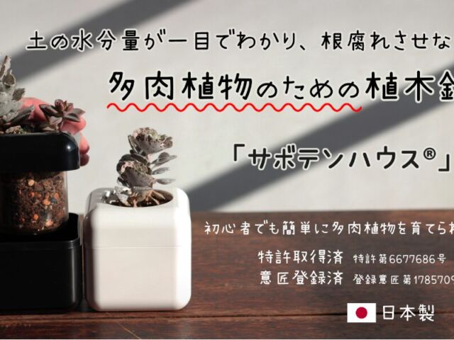 最新情報_1_2025.05.15