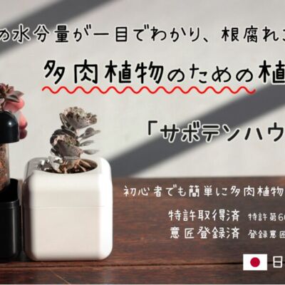 最新情報_1_2025.05.15